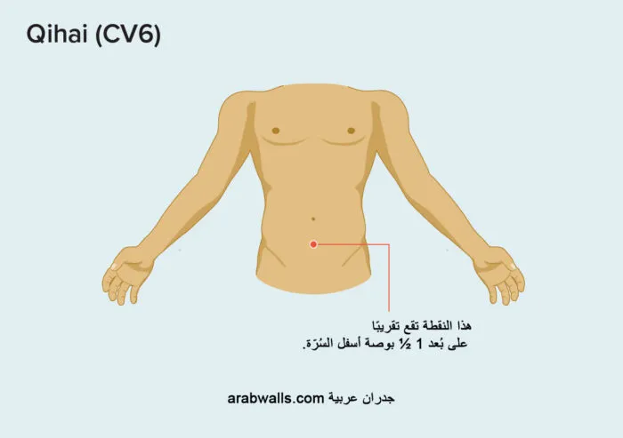 تشيهاي (CV6)